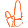 Halfter Hippo Covalliero - Orange