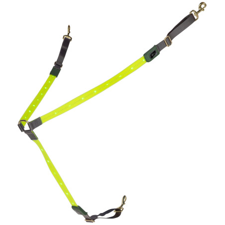 LED-Martingal Covalliero