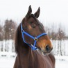 HALFTER YANKEE NYLON 20 MM - Blau