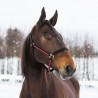 HALFTER YANKEE NYLON 20 MM - Schwarz / Rot