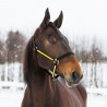HALFTER YANKEE NYLON 20 MM - Schwarz / Gelb