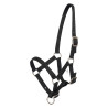 Fohlenhalfter HV Polo Nena - Schwarz