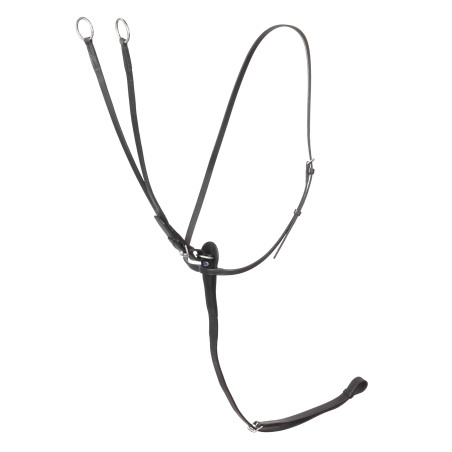 Martingal Stübben mit Ringen