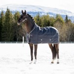 Stalldecke Tim B Vertigo 400g