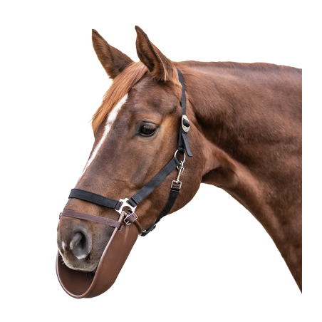 Mundschoner Waldhausen