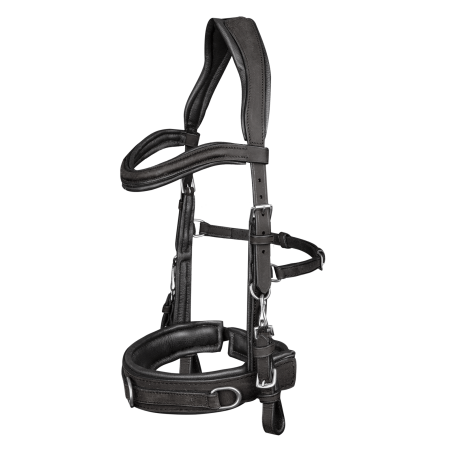 Caveçon Waldhausen aus anatomischem Leder