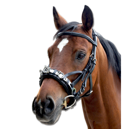 Waldhausen Lederkappzaum