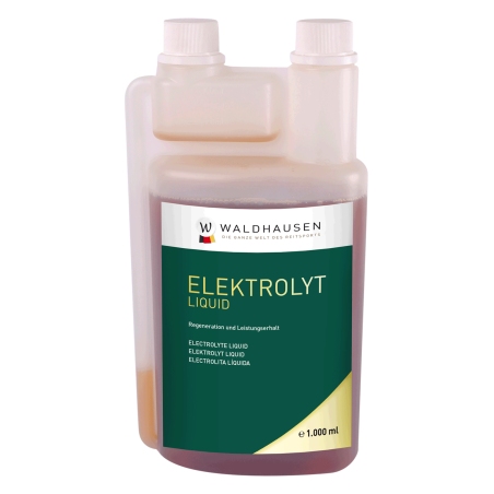 Elektrolyte Flüssigkeit Waldhausen