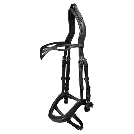 Anatomisches Island-Zaumzeug Waldhausen