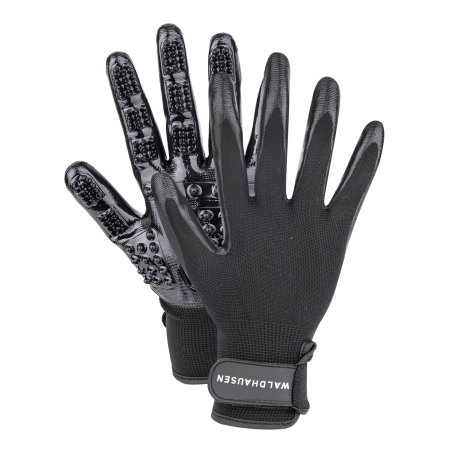 Waldhausen Striegelhandschuh