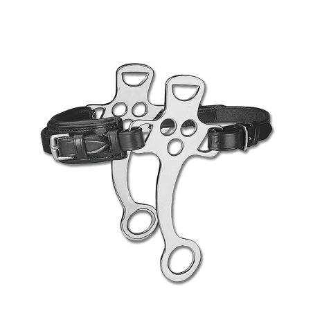 Professionelles Waldhausen-Hackamore mit kurzen Anzügen