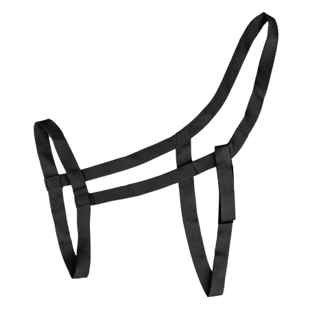 Weidehalfter Waldhausen