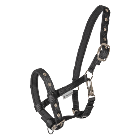 Waldhausen Fohlenhalfter Comfort