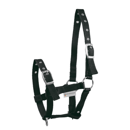 Fohlenhalfter Waldhausen Triple