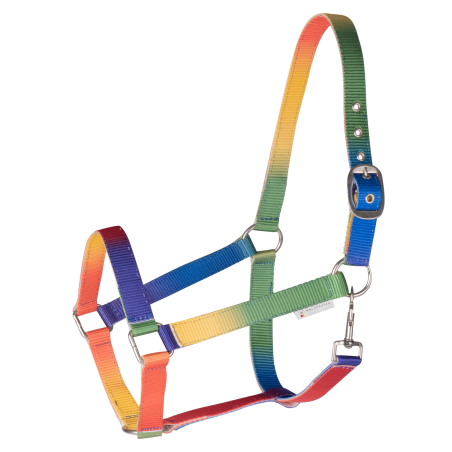 Waldhausen-Regenbogen-Halfter