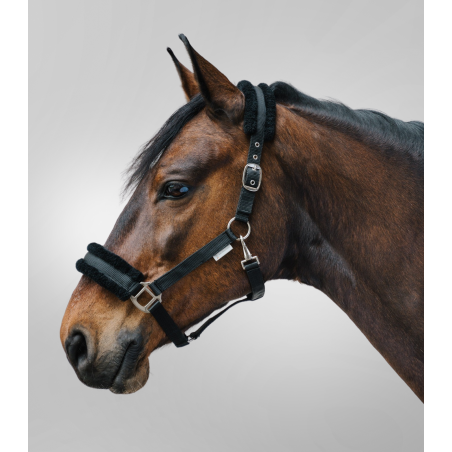 Waldhausen First Halfter