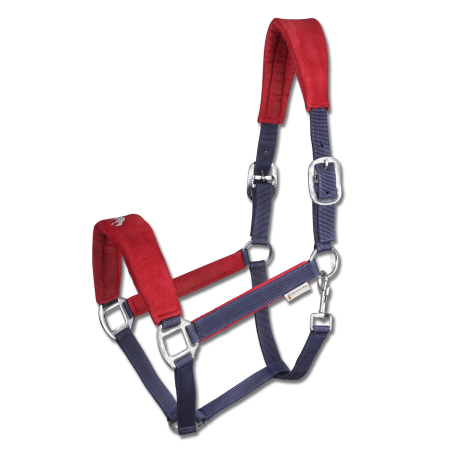 Waldhausen Island Halfter Hellnar