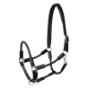 Waldhausen-Nevada-Halfter - Schwarz / Silber