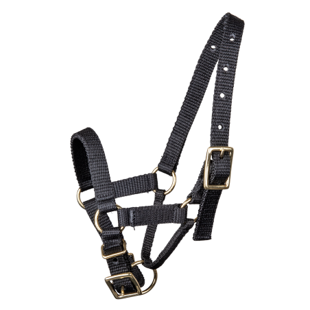 Waldhausen-Alpakahalfter