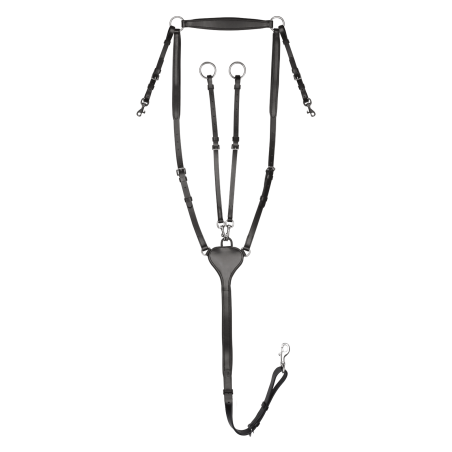 Waldhausen Vorderzeug Professional X-Line