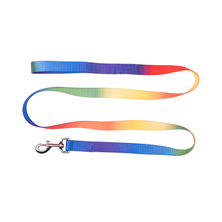 Longe Regenbogen Waldhausen