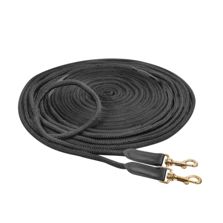 Doppellonge Waldhausen