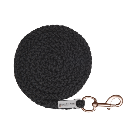 Longe Waldhausen Shine Karabinerhaken