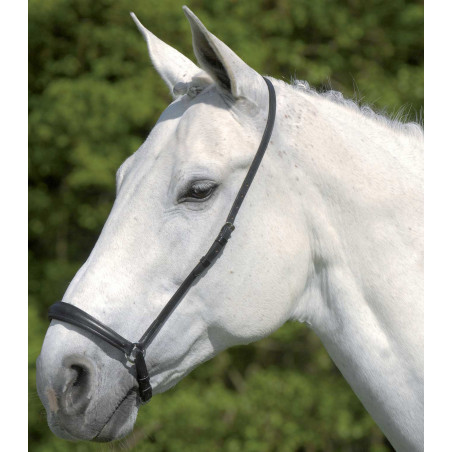 Deutsches Reithalfter Waldhausen S-Line