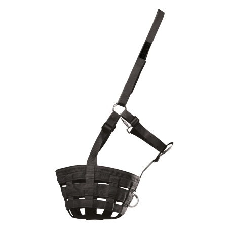 Weidekorb Waldhausen