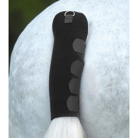 Schweifschoner Waldhausen