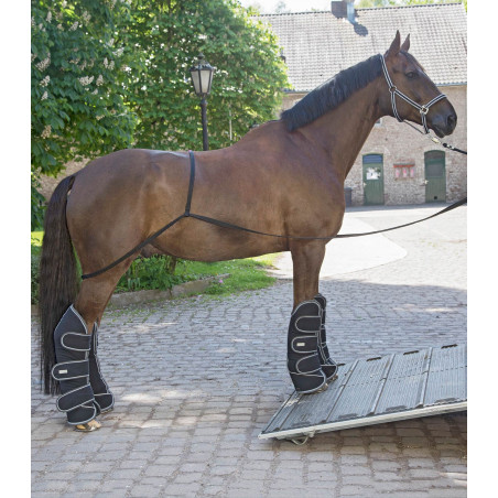 Waldhausen Lkw-Rampe