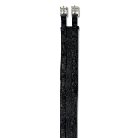 Langer Gurt Waldhausen Economic