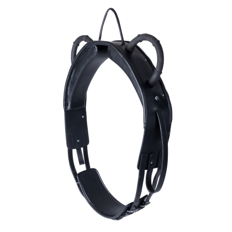 Voltigiergurt Waldhausen