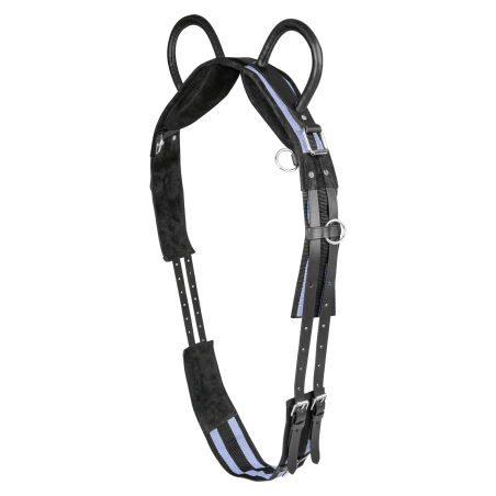 Longiergurt Waldhausen mit 2 Griffen