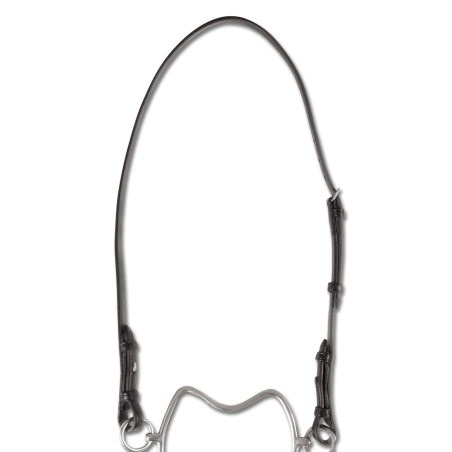 Leder-Kopfstück Waldhausen für Chifney