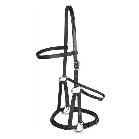 Zäumung ohne Gebiss Linda Tellington-Jones