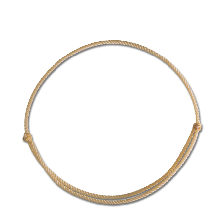 Linda Tellington-Jones Schnur