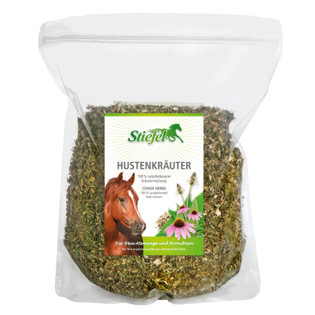 Stiefel Kräuter gegen Husten