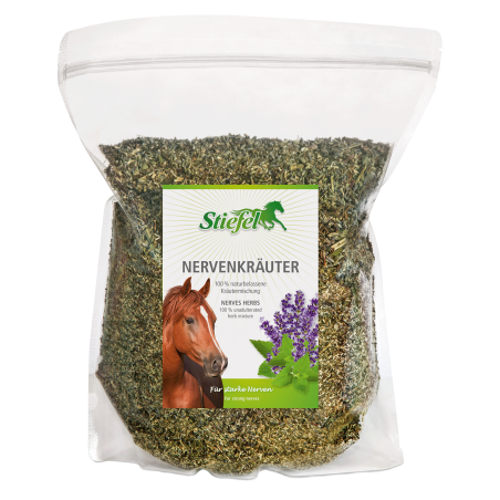 Kräuter Nervensystem Stiefel