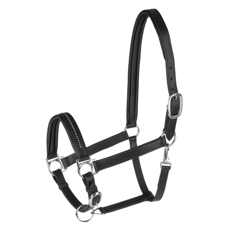 Lederhalfter Star Diamond