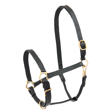 Lederhalfter Star Robust