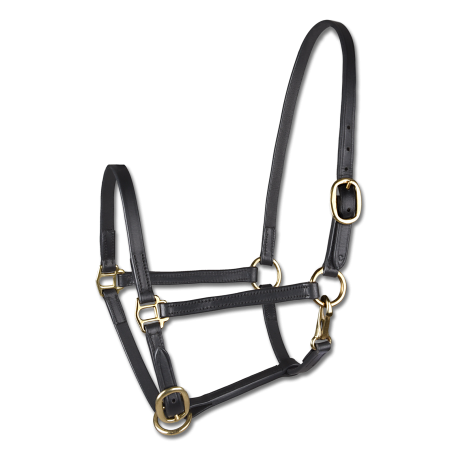 Vorführhalfter aus Leder Star Fohlen