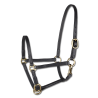 Vorführhalfter aus Leder Star Fohlen - Schwarz