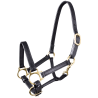 Star Fohlen Lederhalfter - Schwarz