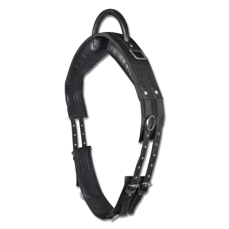 Surfaix Star mit einem Griff