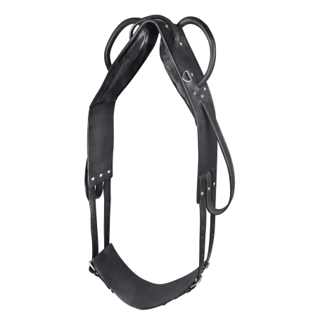 Voltigier- und Longiergurt Star