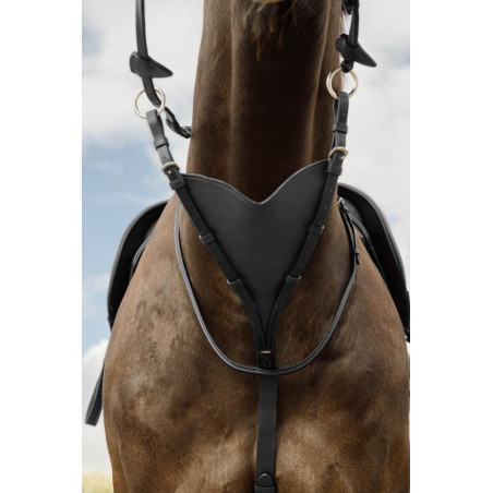 Vollständige Martingal aus weichem Leder Dy'on New English Kollektion