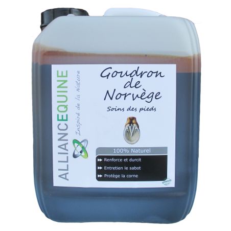 Norwegischer Teer Alliance Equine