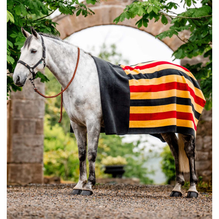 Polarquadrat Horseware Newmarket