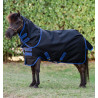 Horseware Amigo Ripstop 900D Plus Petite Turnout 200g Decke - Schwarz / Klassisches Blau